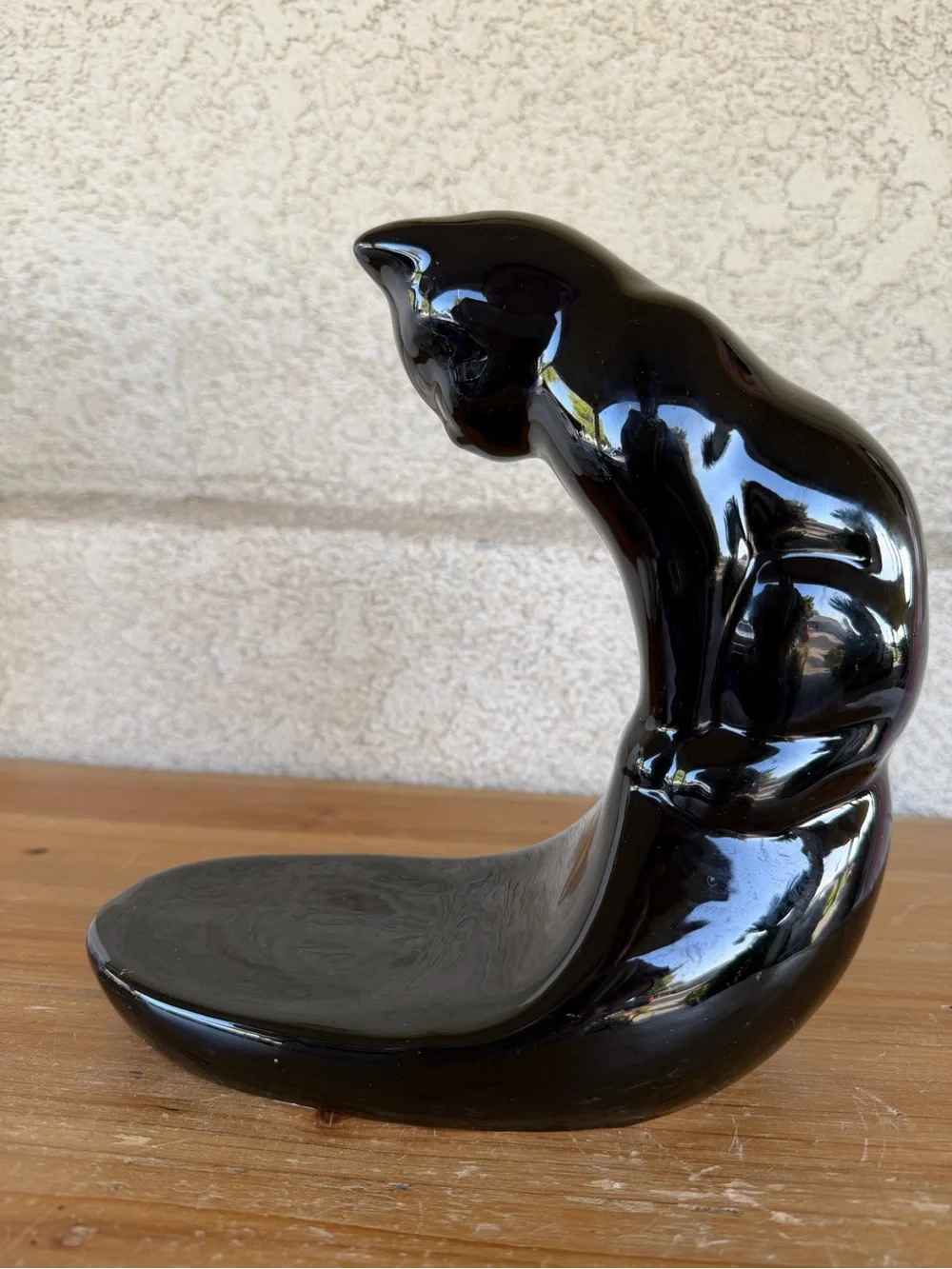 Black glossy cat